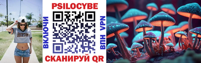 Псилоцибиновые грибы мицелий  Сортавала 